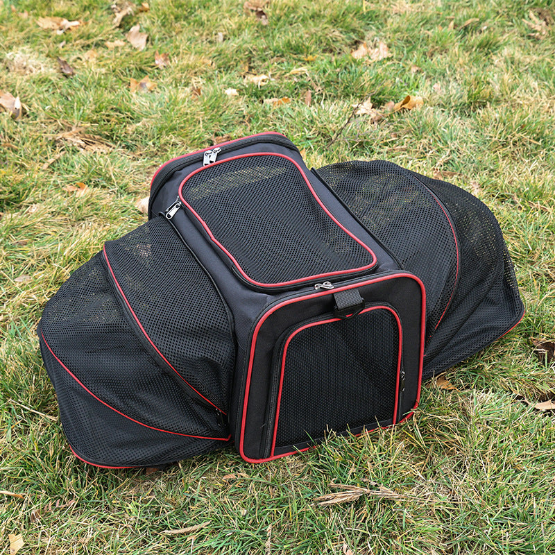 Expandable Tote Carrier for Small Dogs & Cats
