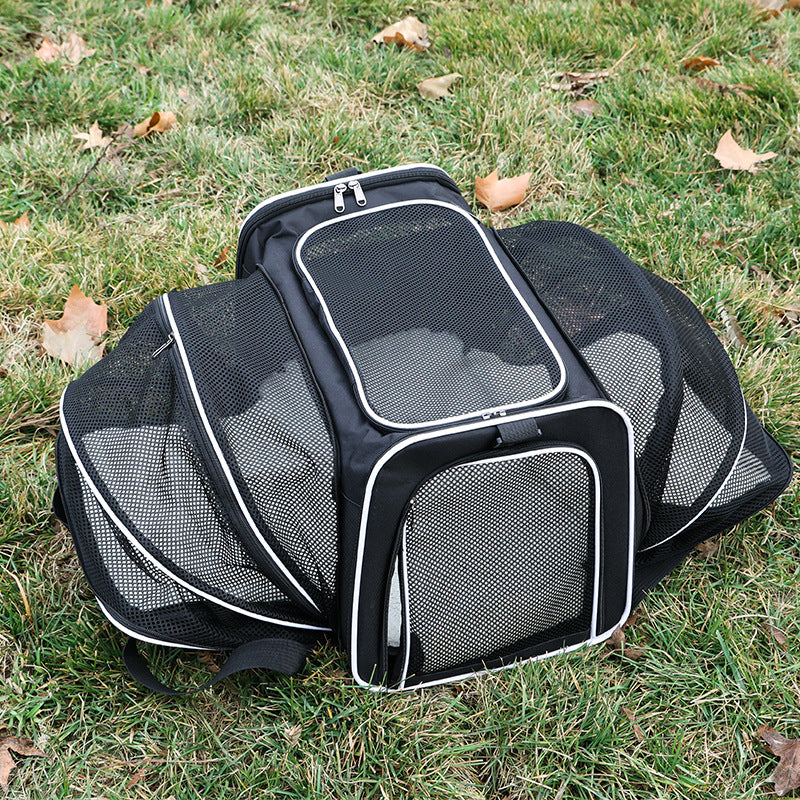 Expandable Tote Carrier for Small Dogs & Cats