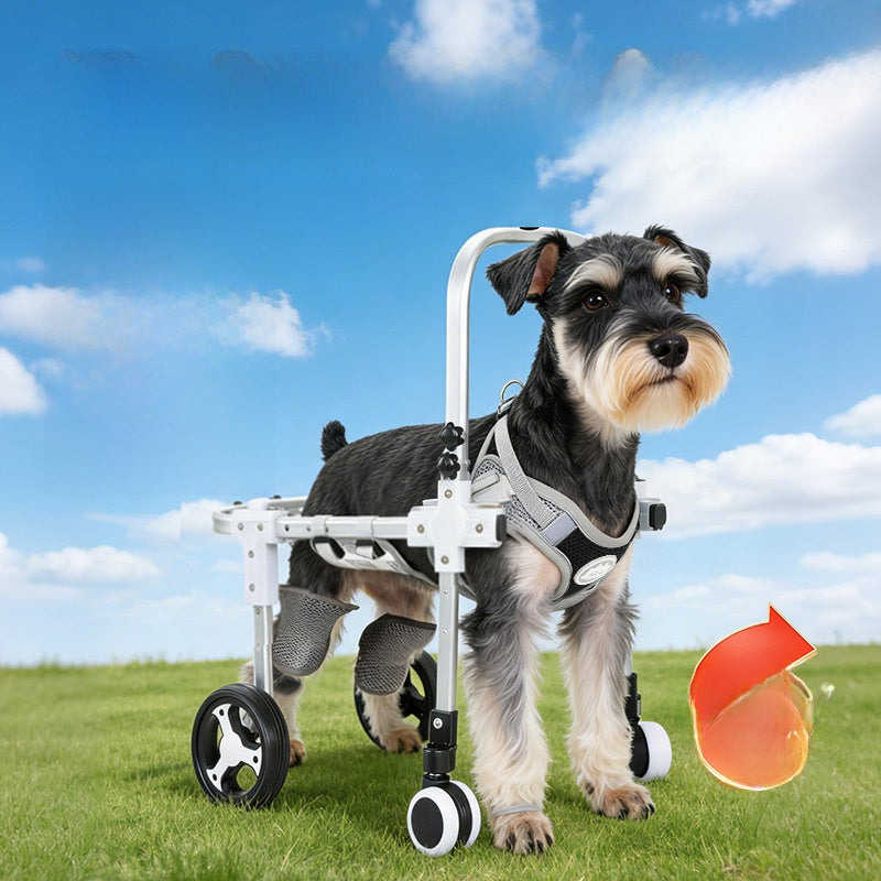 Adjustable Dog Wheelchair for Hind Leg Support
