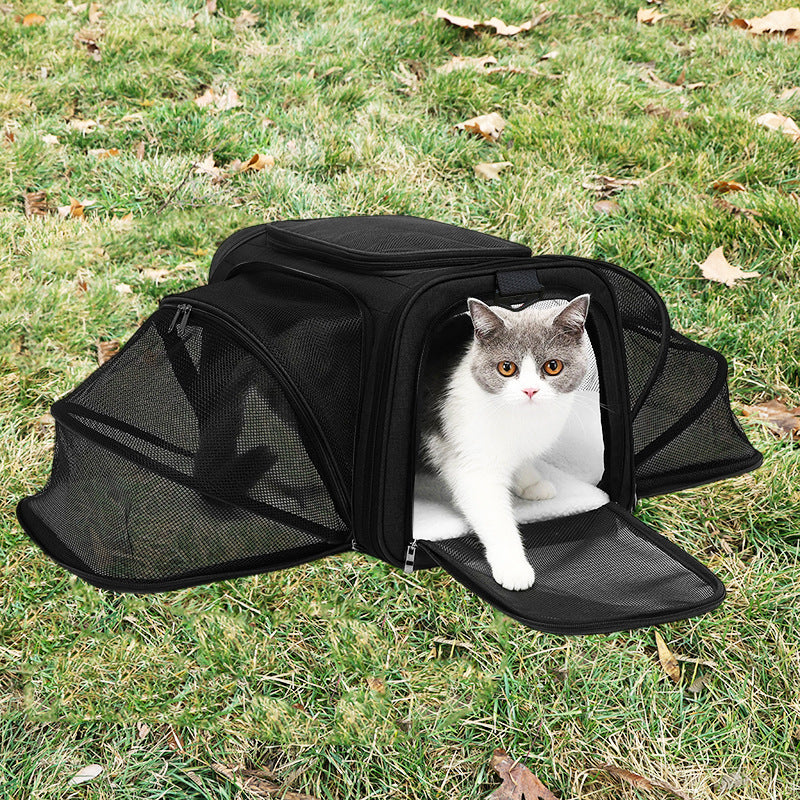 Expandable Tote Carrier for Small Dogs & Cats
