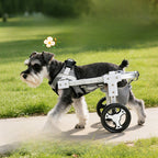 Adjustable Dog Wheelchair for Hind Leg Support
