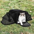 Expandable Tote Carrier for Small Dogs & Cats