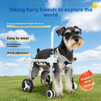 Adjustable Dog Wheelchair for Hind Leg Support