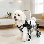 Adjustable Dog Wheelchair for Hind Leg Support