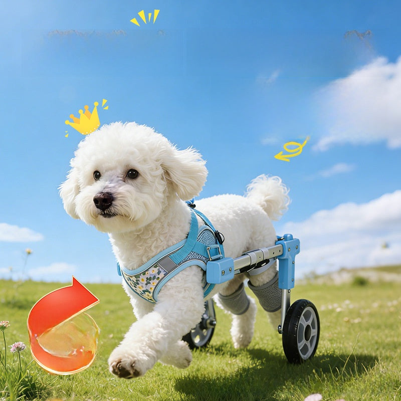 Adjustable Dog Wheelchair for Hind Leg Support
