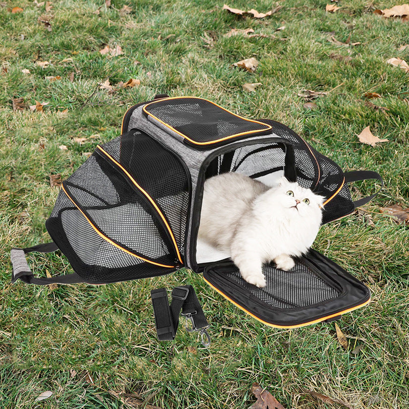 Expandable Tote Carrier for Small Dogs & Cats