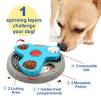 Slow Feeder Bowl for Dogs