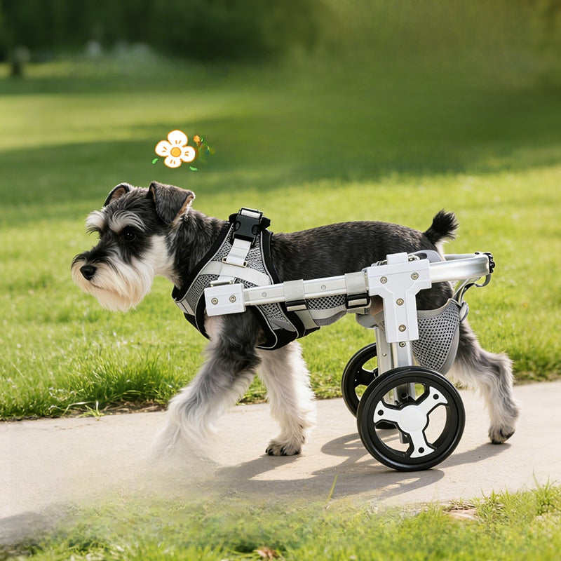 Adjustable Dog Wheelchair for Hind Leg Support