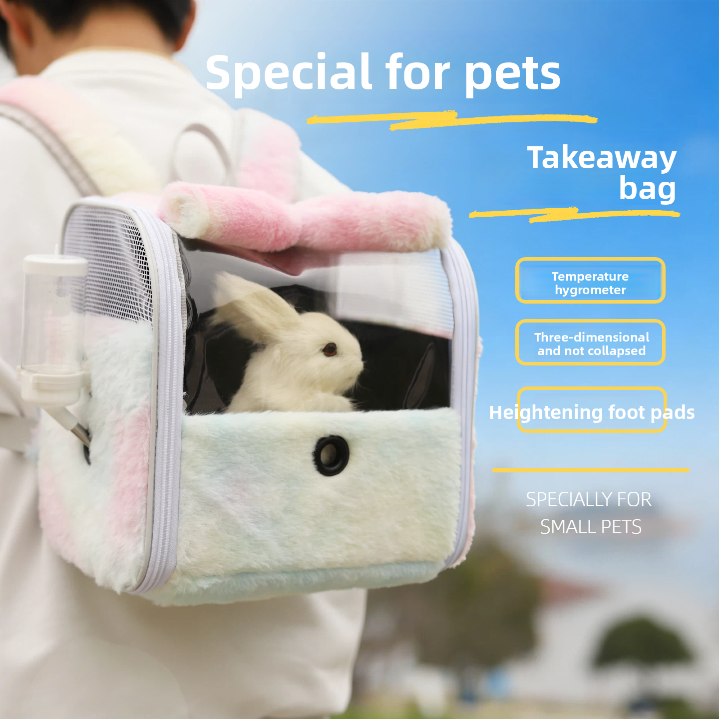 Transparent Pet Backpack with Built-In Thermometer