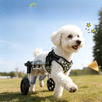 Adjustable Dog Wheelchair for Hind Leg Support