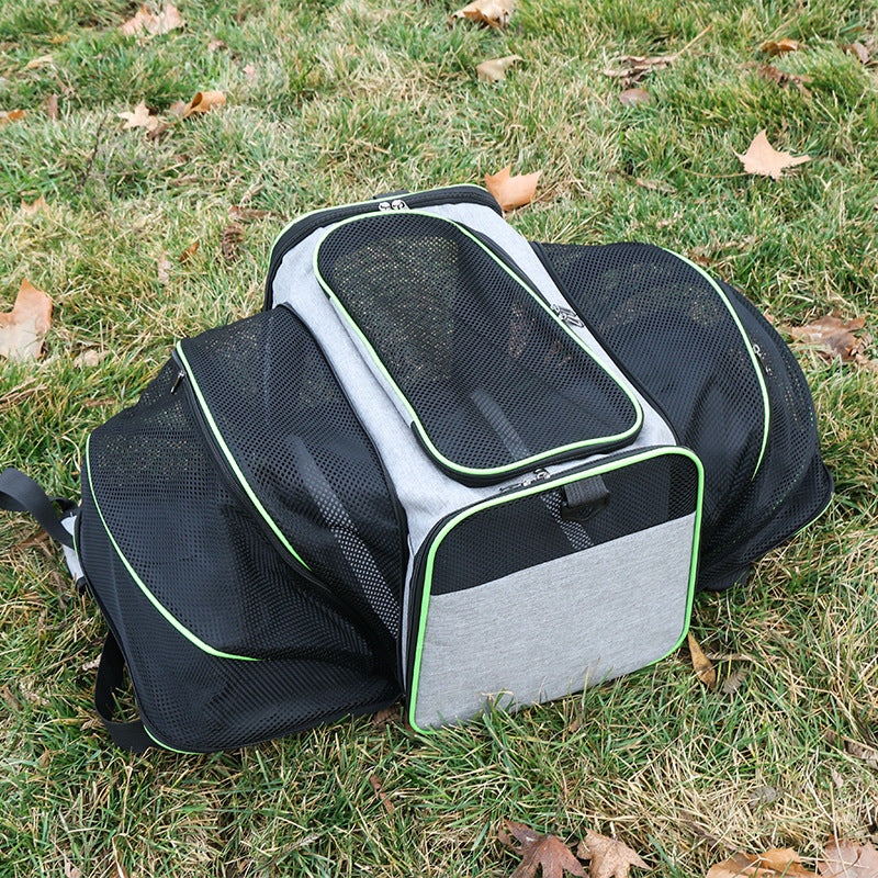 Expandable Tote Carrier for Small Dogs & Cats