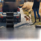 Foldable Dog Car Ramp for SUVs