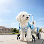 Adjustable Dog Wheelchair for Hind Leg Support