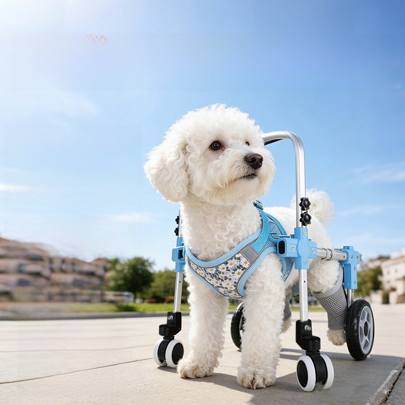 Adjustable Dog Wheelchair for Hind Leg Support